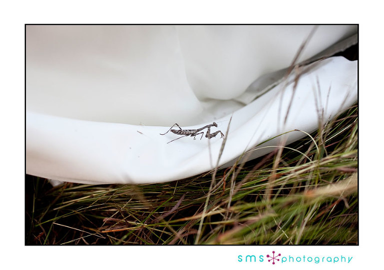 nearburgbridal169